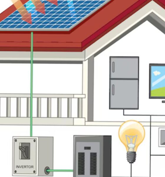 The Benefits of ecowarm: How It Transforms Your Home and Environment